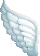 wing